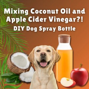 mixing coconut oil and apple cider vinegar for dogs